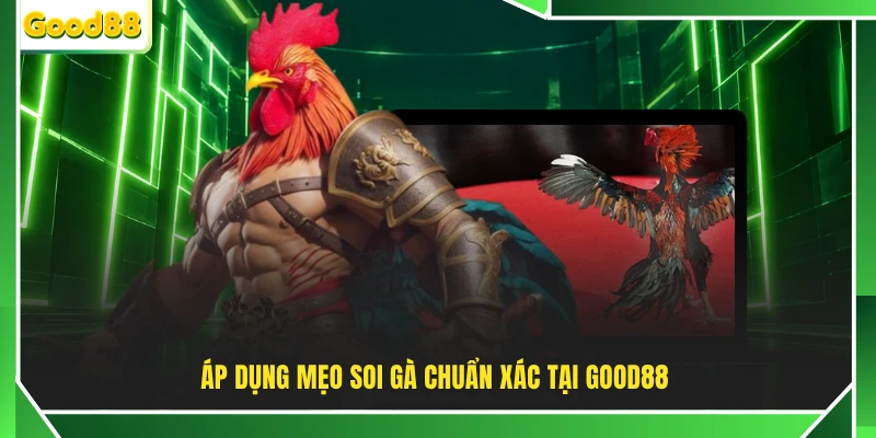 Áp dụng mẹo soi gà chuẩn xác tại GOOD88 