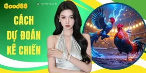 Cách Dự Đoán Kê Chiến - Nắm Vững 4 Phương Pháp Chọn Gà Chuẩn