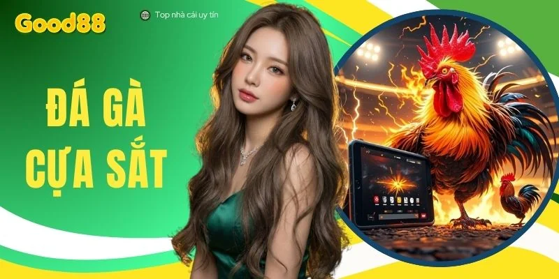 Đá Gà Cựa Sắt - 3 Tuyệt Chiêu Giúp Đánh Bại Mọi Đối Thủ
