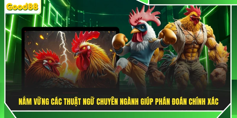 Nắm vững các thuật ngữ chuyên ngành giúp phán đoán chính xác