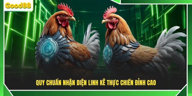 Quy chuẩn nhận diện linh kê thực chiến đỉnh cao