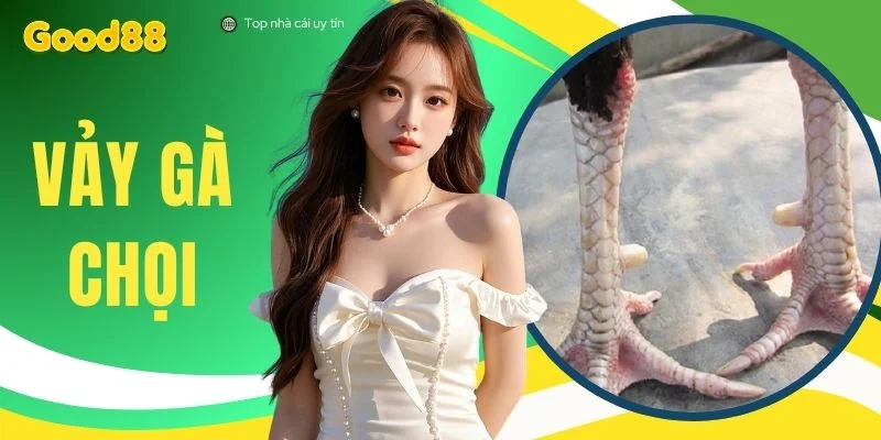 Vảy Gà Chọi - Chi Tiết 4 Hàng Vảy Nhận Diện Thần Kê Bất Bại