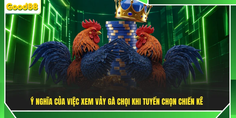 Ý nghĩa của việc xem vảy gà chọi khi tuyển chọn chiến kê